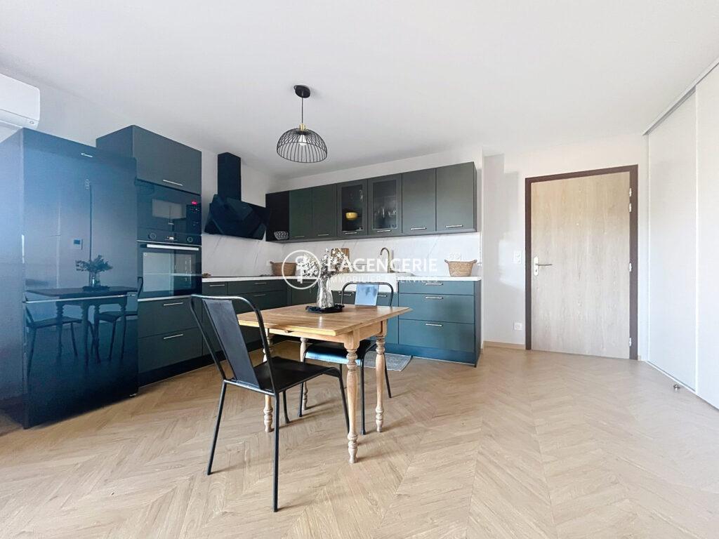 Apparetement T1Bis meublé avec terrasse et parking